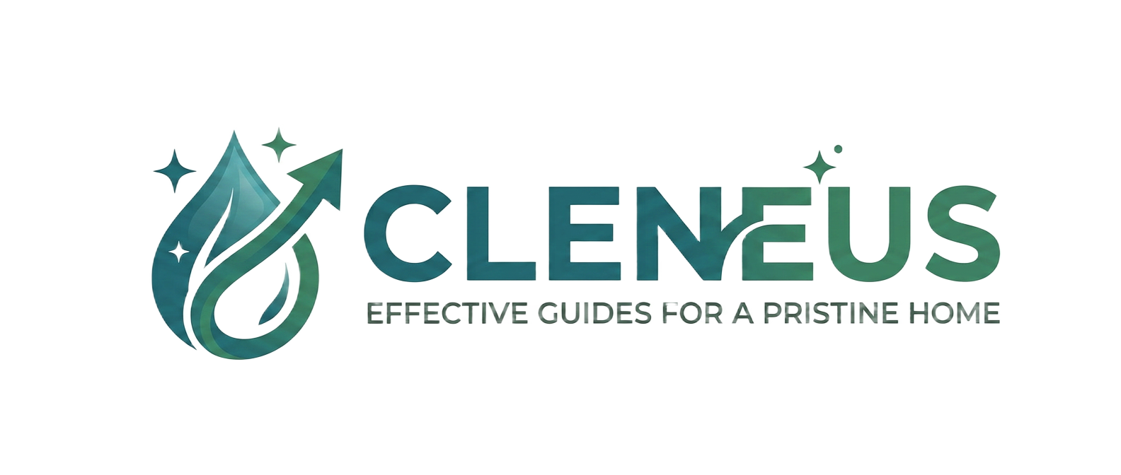 Cleneus — effective guides for a pristine home